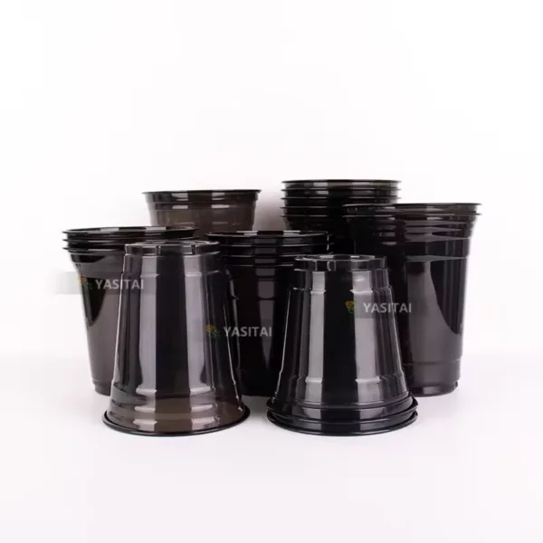 17137836237993-1.webp 17137836237993-1.webp