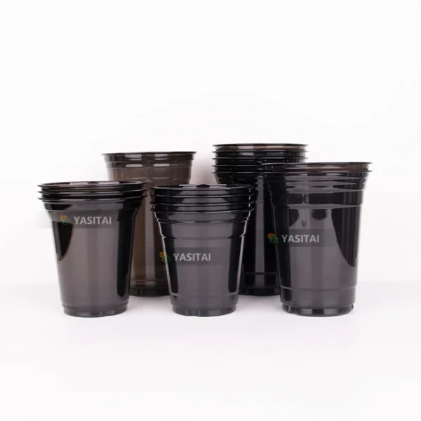 17137837746985.webp 17137837746985.webp