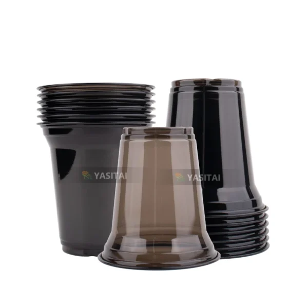 17137840490113-2.webp 17137840490113-2.webp