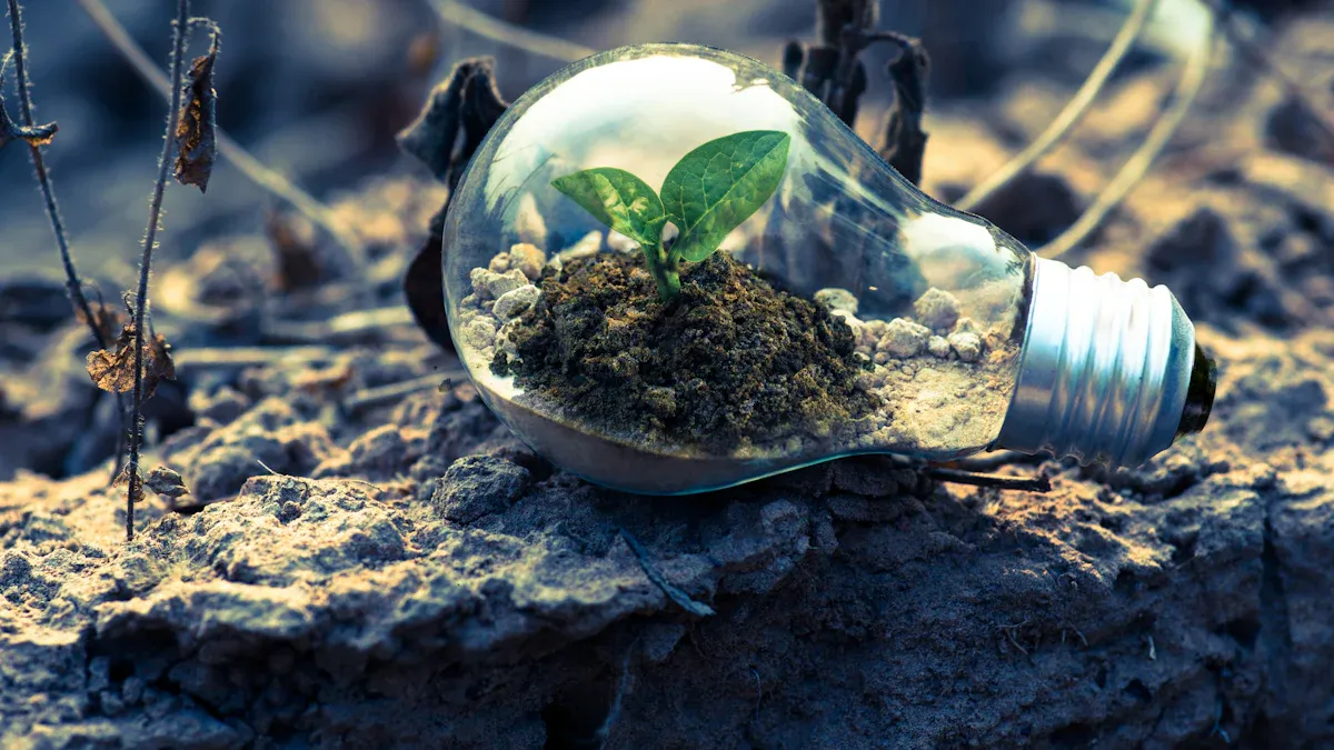 Biodegradable Textiles