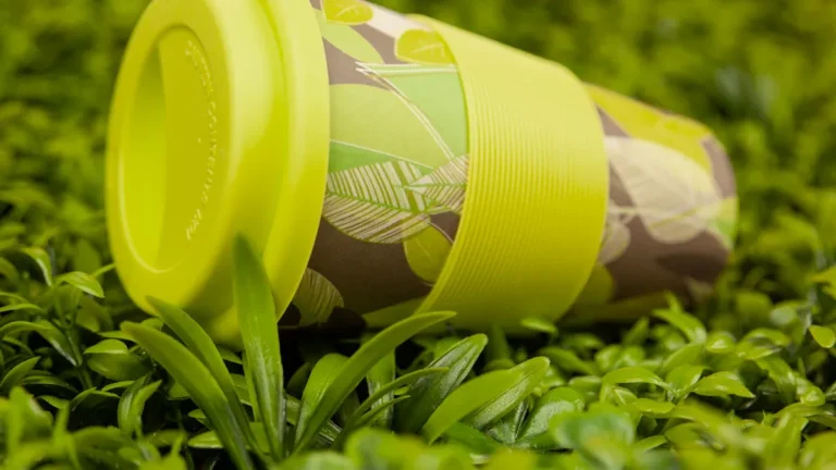 The Complete Guide to PLA Cups