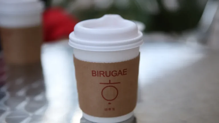 Understanding Cup Lids: Flat vs. Dome vs. Sippy Lids Ex