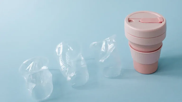 When to Choose PP Cups: A Guide to Durability and Heat