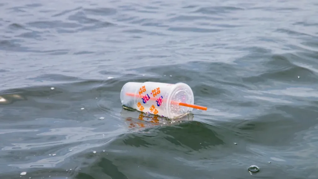 Risks of Non-Food-Grade Cups